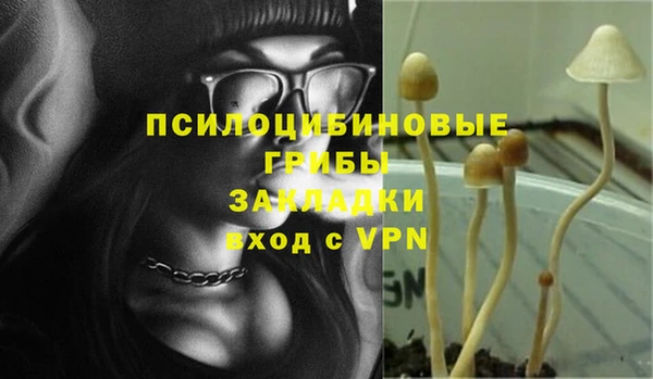 ГАЛЛЮЦИНОГЕННЫЕ ГРИБЫ Лиски