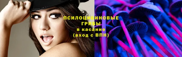 эйфоретик Ладушкин