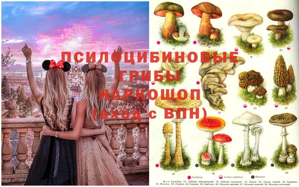 ГАЛЛЮЦИНОГЕННЫЕ ГРИБЫ Лиски