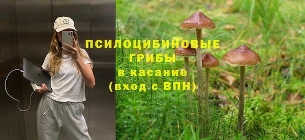 mdpv Лабытнанги