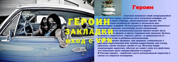 дживик Долгопрудный
