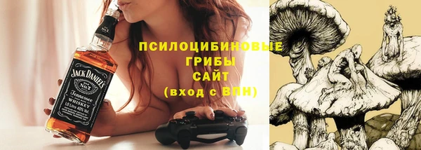 эйфоретик Ладушкин
