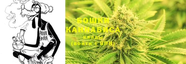 mdpv Лабытнанги