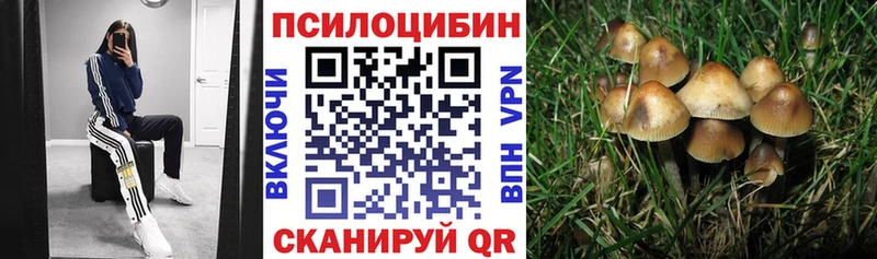 Псилоцибиновые грибы мухоморы  как найти   Нестеров 